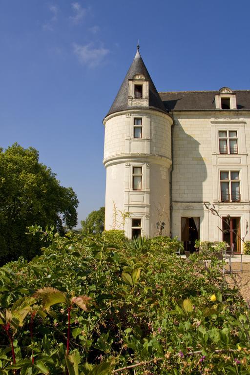 Chateau De Chissay, Hotel De Charme Pres De Chenonceau Et Le Zoo De Beauval Exteriör bild